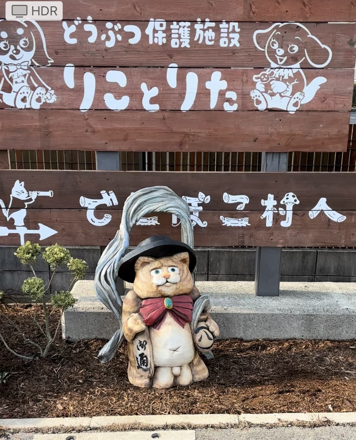 おりひめの格好をした猫伯爵